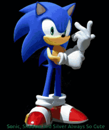Sonic Shadow The Hedgehog GIF