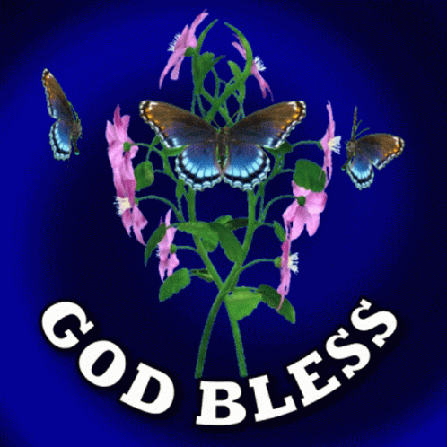 God Bless God Bless You GIF - God Bless God Bless You God Bless You All ...
