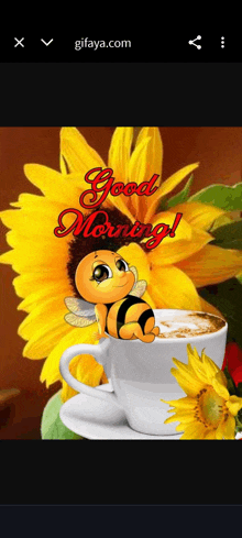 a cartoon bee is sitting on a cup of coffee next to a sunflower and says good morning .
