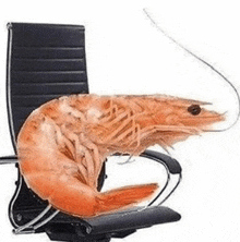 a large shrimp is sitting on top of an office chair .