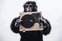 Gorila Spinbox GIF - Gorila Spinbox Music GIFs