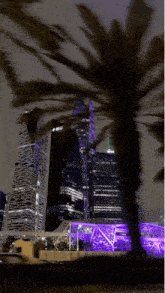 a palm tree is standing in front of a city skyline