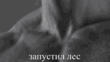 a black and white photo of a person 's face with russian writing on the bottom
