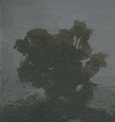 a tree with a lot of leaves is surrounded by fog