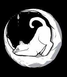 Moon Cat Moon GIF