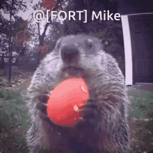 Fort Mike Mike4221 GIF - Fort Mike Mike4221 Craigly GIFs