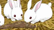 inazuma eleven go galaxy inago galaxy anime bunnies bunny