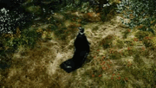 Maleficent GIF