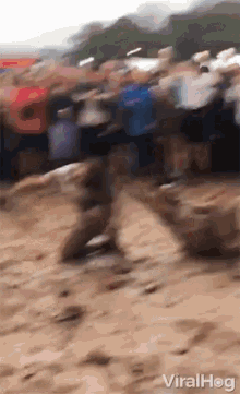 wrestling mud mud fight mud wrestling viralhog