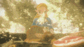 Princess Zelda Botw Zelda GIF - Princess Zelda Botw Zelda Aoc Zelda GIFs