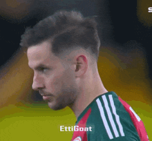 a man wearing a green and red jersey with the word ettigoat on it