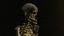 Morrowind Skeleton GIF - Morrowind Skeleton Bye Bye GIFs