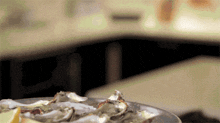 Andrew Knowlton Oysters GIF - Andrew Knowlton Oysters Seafood GIFs