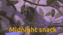 a purple background with the words midnight snack written in yellow