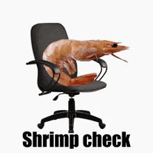 a shrimp is sitting in an office chair with the words shrimp check written below it