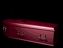 a red coffin with the lid open and a skull inside