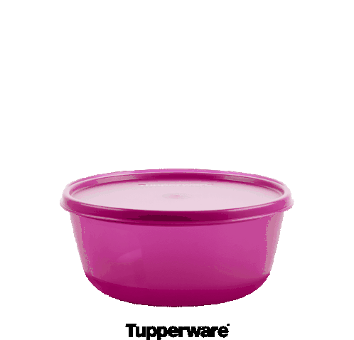 Tupper Tupperware Sticker - Tupper Tupperware There Is Only One Stickers
