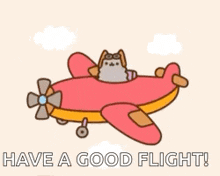 Cat Airplane GIF