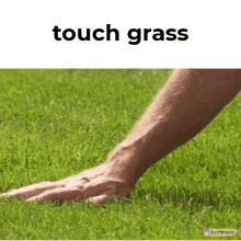 Touch Grass Touch GIF - Touch Grass Touch Grass GIFs