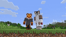 a fox and a cat are standing next to each other in a field in minecraft