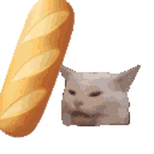 bonk bread