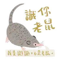 a cartoon drawing of a rat with chinese writing behind it