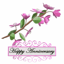Happy Anniversary Congratulations GIF - Happy Anniversary Congratulations Apple Blossom GIFs