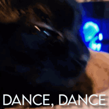 cat dance memes cats oryon