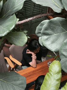 a woman sits at a table surrounded by green plants
