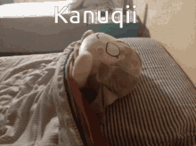 Kanuqii GIF - Kanuqii GIFs