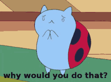 a ladybug with the words " why would you do that " behind it