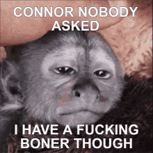 Connor Nobody GIF - Connor Nobody Asked GIFs