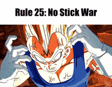 rule 25 : no stick war is written above a cartoon