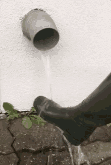 Kummik Wellington GIF - Kummik Wellington Rainwater GIFs