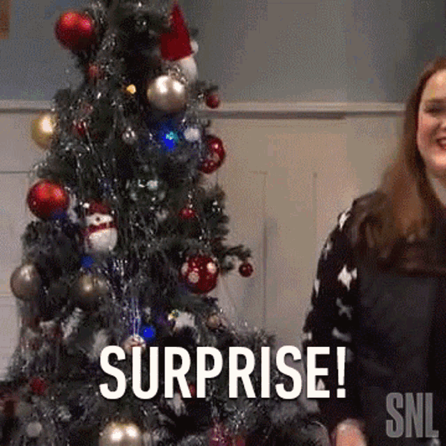 Surprise Kristen Wiig GIF - Surprise Kristen Wiig Saturday Night Live GIFs