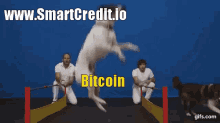 Dogs Bitcoin GIF - Dogs Bitcoin Jump GIFs