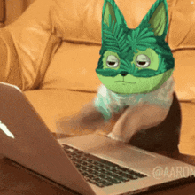 a cat wearing a green mask sits at a laptop