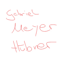 Gabriel Meyer GIF - Gabriel Meyer Hübner GIFs