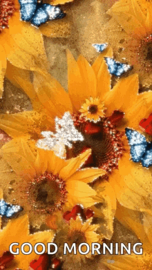 Yellow Flowers GIF - Yellow Flowers Butterflies GIFs