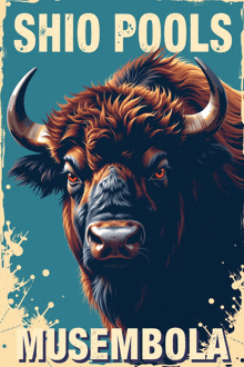 a poster for shio pools musembola with a bull