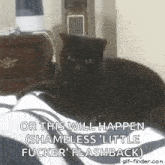 Cat Wake Up GIF - Cat Wake Up Bite GIFs