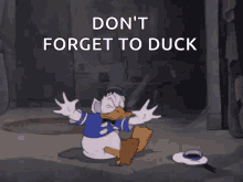 Disney Donald Duck GIF