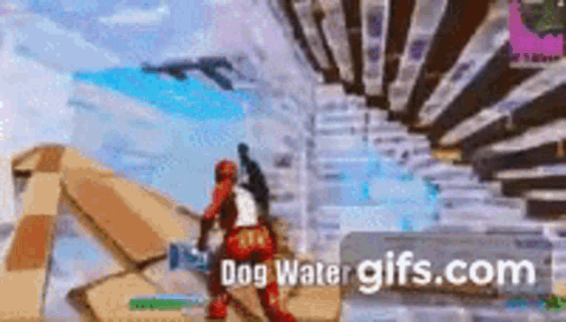 Dog Water - What does dog water mean in Fortnite?