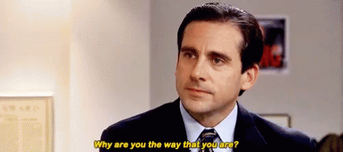michael-scott-why-are-you-the-way-you-are.gif