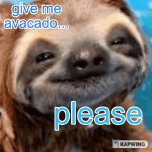 sloth please avacado give me avocado