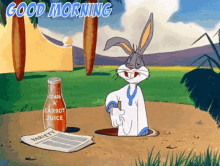 Bugs Bunny Good Morning GIF - Bugs Bunny Good Morning Wake Up GIFs