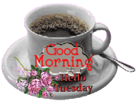 Good Tuesday Morning Sticker - Good tuesday morning - Discover & Share GIFs,  tuesday morning 