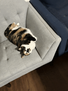 a cat is laying on its back on a couch
