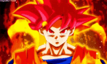 Goku Super Sayan Dios GIFs | Tenor