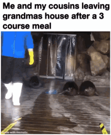 meme memes seals funny grandma